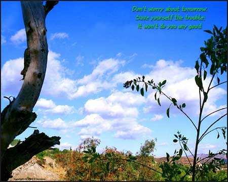 Click to Enlarge
