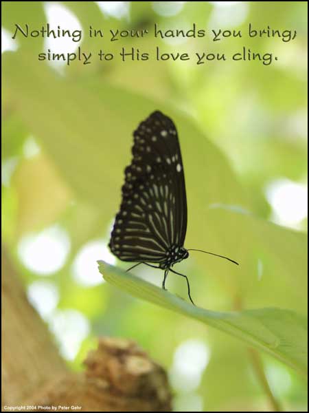 Click to Enlarge