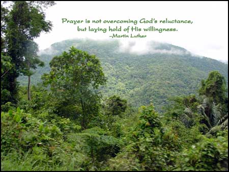Click to Enlarge